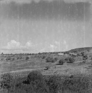 Feld : Blick auf bestellte Felder nahe Kigoma