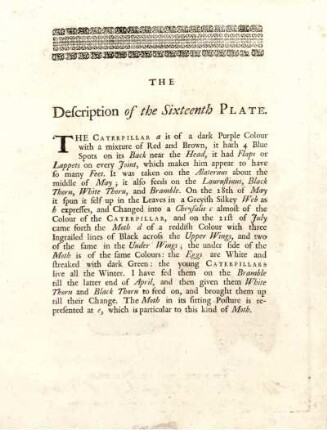 The Description of the Sixteenth Plate
