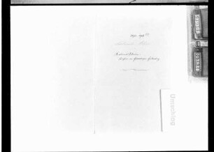 Kabinettssekretär Freiherr von Gemmingen-Guttenberg (1893-1899)