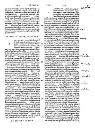 De Genere Ciborum, Et Potuum.