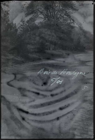 Paris, Bois de Boulogne