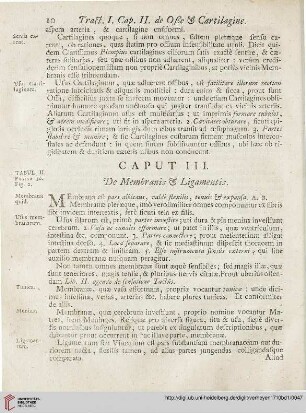 Caput III: De Membranis et Ligamentis
