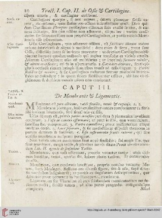 Caput III: De Membranis et Ligamentis