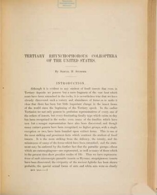 Tertiary Rhynchophorous Coleoptera of the United States