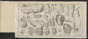 Fig. 1. - Fig. 25.