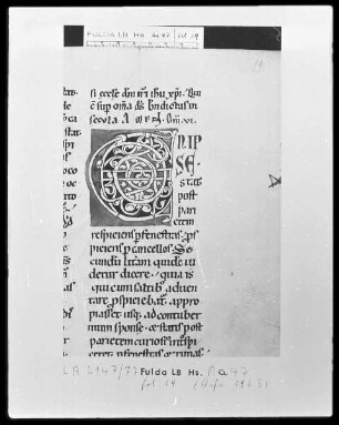 Bernhard von Clairvaux, Sermones in Cantitum Canticorum — Initiale E, Folio 19 recto
