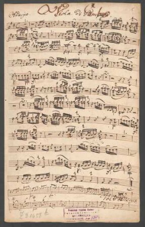 Viola di gamba