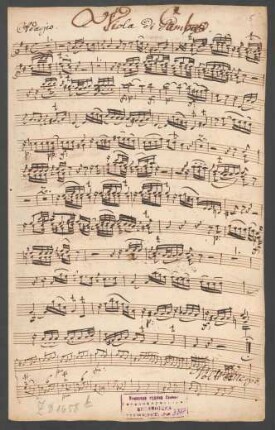 Viola di gamba
