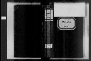 Waldangelloch, evangelische Gemeinde: Standesbuch 1866-1870
