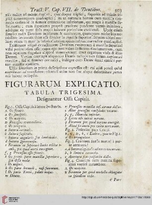 Figurarum explicatio: Tabula trigesima