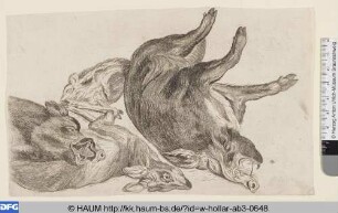 Ein Reh und drei Wildschweine