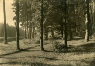 Reichswald, Hohenecker Str