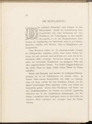 Die Bepflanzung