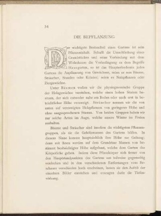 Die Bepflanzung