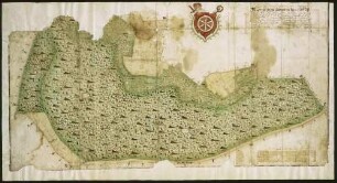 Blatt 4: "Tractus nonus: Geometrischer Grundriß über die Äcker im äusseren Holtz, Waldung in der Breittenraichen, im Hoflein (?), Ruppertsgrund, Äcker im Ruppertsgrund, Waldung in der Philippsblatten, am Crispenhofer Berg, Äcker im Neugereuth, allda dann der churfürstlichen Waldung"