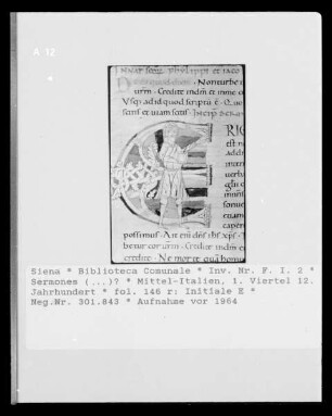 Sermones (...)? — Initiale E, Folio fol. 146 r