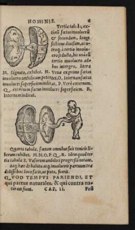 Quod Tempus Pariendi, Et qui partus naturales, & qui contra naturam fiunt. Cap. II.