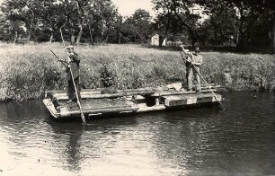 Schilfmahd im Spreewald : Land- und Viehwirtschaft - Ernte und Einbringen der Ernte. Ort: Błóta / Spreewald. Mähen des Schilfes