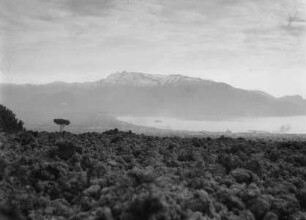 Blick vom Vesuv auf Torre Annunziata und im Hintergrund Castellammare di Stabia