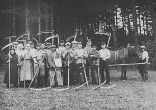 Gegenseitige Hilfe der Kleinbauern im Erzgebirge - Getreidemahd mit der Wurfsense : Gegenseitige Hilfe der Kleinbauern im Erzgebirge