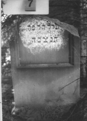 Grabstein 7 (Index: 99799603) Material: Sandstein Zustand: Stele abgebrochen Maße HxBxT: 92x52x10 cm Beschreibung: Unterteil der Stele, Schriftfeld eingetieft, Sockel: Grabstein 7