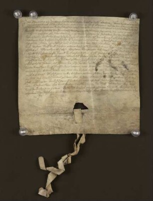 1601 Okt. 09. Belehnung der Kleinsorgen mit dem Moshagen bei Hovedissen durch den Paderborner Bischof etc.