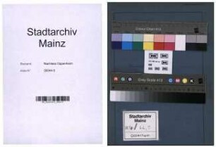 Die Franzosen in Mainz