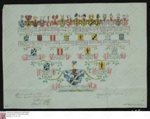 Ahnenprobe des Alois Friedrich Gottfried Lothar v. Greiffenclau z. Vollrads, Pergament