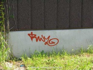 RWZ