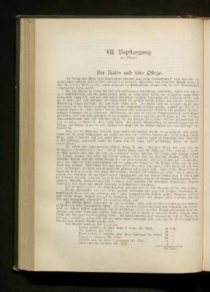 VII. Bepflanzung
