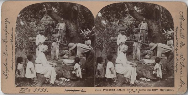 Preparation of manioc flour