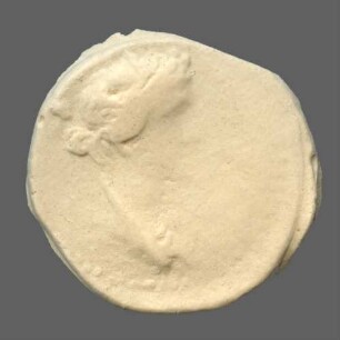 cn coin 2019 (Perinthos)