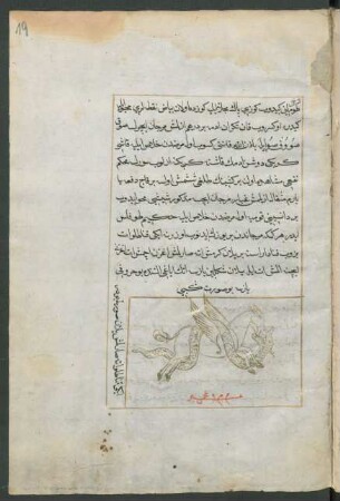Illustration: Geflügeltes Pferd von einer Schlange umwunden