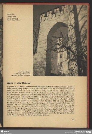 Blick durch einen Torbogen