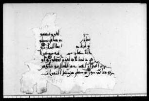 al- Qurʾān [DAM 7-19.1]
