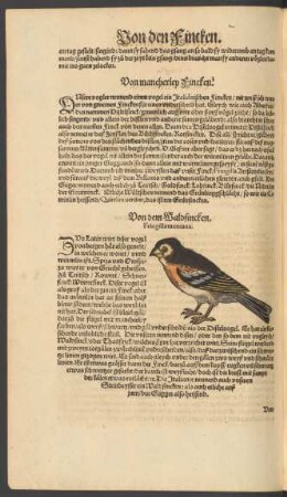 Von mancherley Fincken.