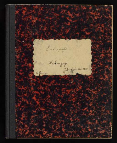 Entwürfe zu Veröffentlichungen über die Tendaguru-Expedition 1911