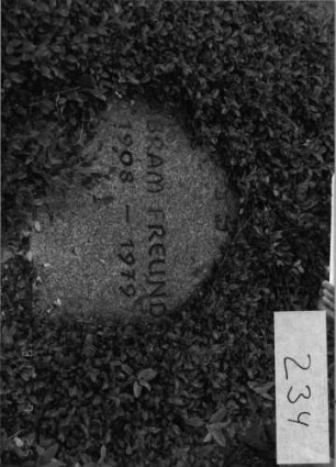 Grabstein 234