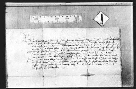 Eitel Friedrich, Graf von Zollern, königlicher Kämmerer, quittiert der Stadt Reutlingen 100 fl. an ihrer am letzten St. Martins Tag fälligen Stadtsteuer.