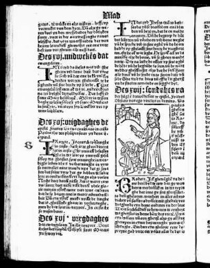 Des xvii: sondahes na der hilghe[n] drevoldicheit