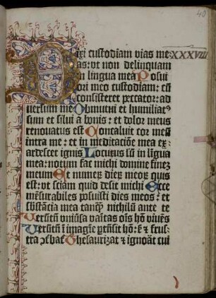 XXXVIII. - L.: Dixi custodiam vias meas…