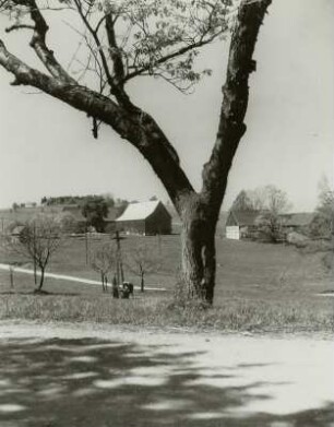 Dorf, Altenberg