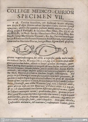 COLLEGII MEDICO-CURIOSI SPECIMEN VII.