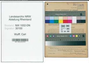 Entnazifizierung Carl Wulff, geb. 30.01.1884 ()