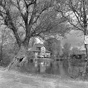 Mühlenteich: vorn Zaun: rechts und links Bäume: rechts Hinweisschild: hinten Mitte zwischen Bäumen Mühle: davor Lkw mit Anhänger: hinten rechts Schuppen