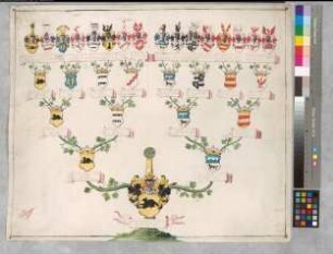Proband: Asseburg, Anna Helena Adriana Franziska von der; Vater: Asseburg, Ernst Constantin von der; Mutter: Wolff-Metternich, Lucia Odilia Franziska Ferdinandina von: [Schildesche, Stift]