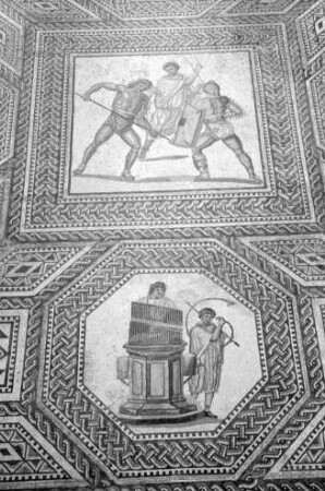 Nennig: Römischer Mosaikfußboden, Ausschnitte