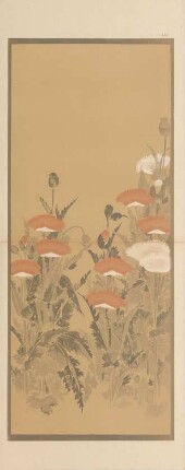 ACF. Kakemono - Mohnblumen