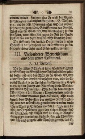 II. Besonderer Beweißthum aus dem neuen Testament.