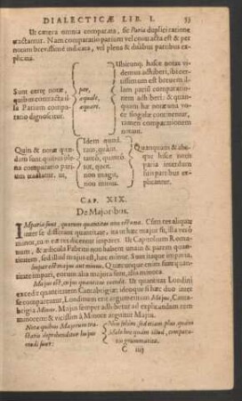 Cap. XIX. De Maioribus.